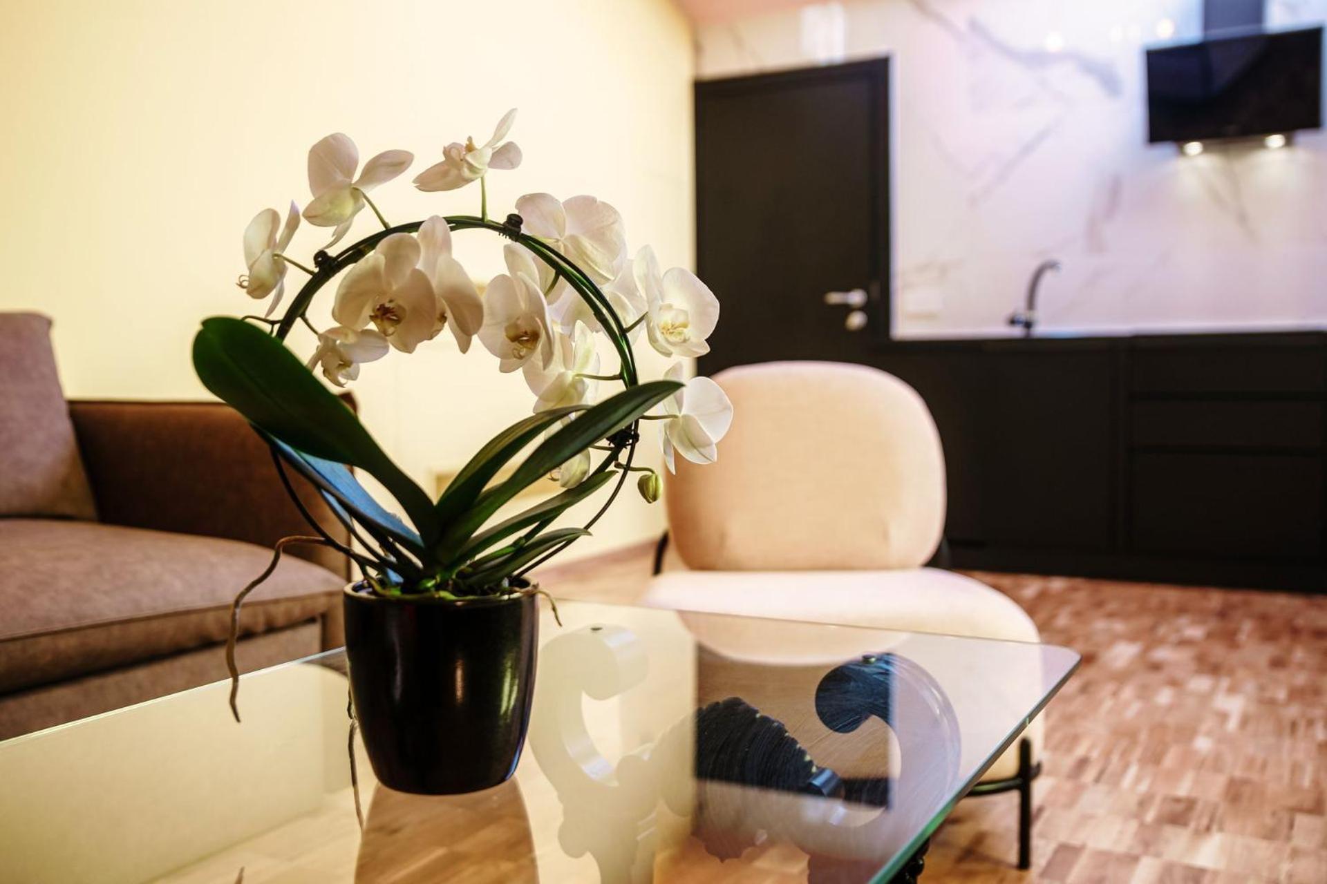 Vitrum - Como Luxury Suites Ruang foto